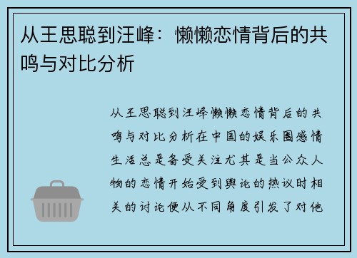 从王思聪到汪峰：懒懒恋情背后的共鸣与对比分析
