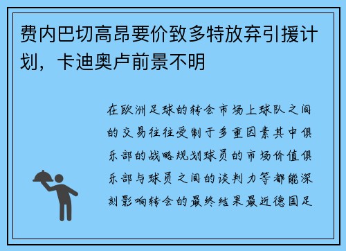 费内巴切高昂要价致多特放弃引援计划，卡迪奥卢前景不明