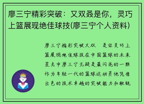 廖三宁精彩突破：又双叒是你，灵巧上篮展现绝佳球技(廖三宁个人资料)